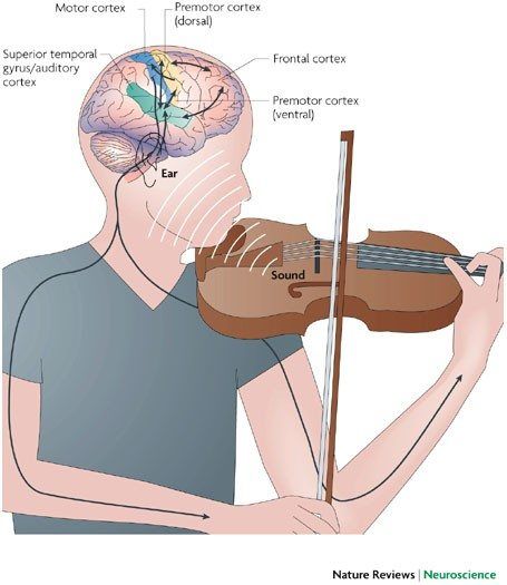 How Music Affects Your Brain 